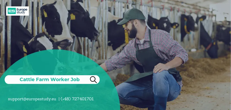 Cattle Farm Worker Job in poland