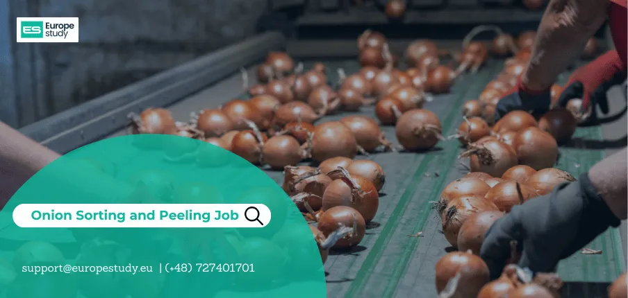 Onion sorting and Peeling Job in Poland