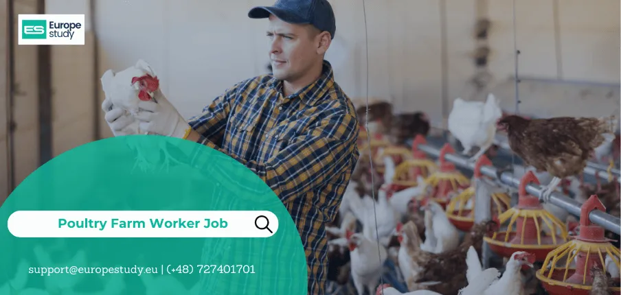 Poultry Farm Worker Job in Poland